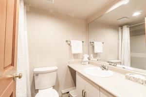 a bathroom with a toilet and a sink and a mirror at Lake Placid Lodge by Whistler Vacation Club in Whistler