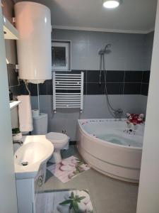 a bathroom with a tub and a toilet and a sink at Apartman Raj in Vrnjačka Banja +39 photos