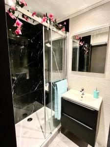 ein Bad mit einer Dusche und einem Waschbecken in der Unterkunft Luxury Dreams Balneo in Le Cannet