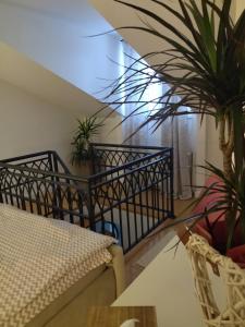 Apartman Element في كروشيفاتس: غرفة بها درج مع نباتات الفخار