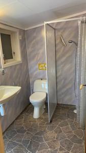 a bathroom with a toilet and a sink and a shower at Hytte at Oyvoll in Farsund in Farsund