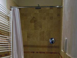 y baño con ducha y cortina de ducha. en La Vigna B&B, en Treviso