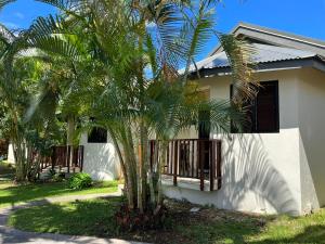 una palmera frente a una casa en TRADEWINDS VILLAS en Port Vila