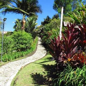 un chemin à travers un jardin planté de palmiers et de plantes dans l'établissement CASA DE CAMPO VILLA OLI!! - Un paraiso natural en la ciudad, à Villamaría