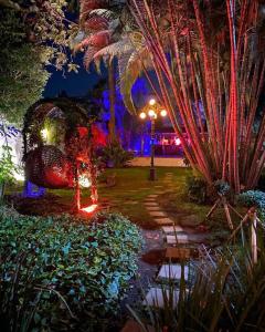 nachts ein Park mit Lichtern und Palmen in der Unterkunft La Provence Restaurant & Hotel Boutique in Cuernavaca