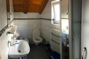 ein kleines Badezimmer mit Waschbecken und Toilette in der Unterkunft Holiday house with a parking space Fuzine, Gorski kotar - 20332 in Fužine + 5 Fotos