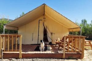 Fotografie z fotogalerie ubytování Cozy Glamp Tents at Wildland Gardens v destinaci Joseph