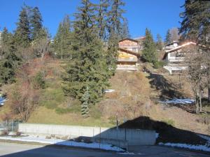 ein Haus an der Seite eines Hügels mit Bäumen in der Unterkunft Apartment Merises in Crans-Montana