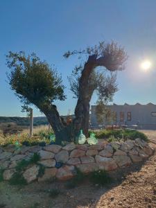 a tree in front of a stone wall at Cabezo Buñuel alojamiento Rural in Calanda