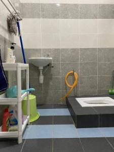 a bathroom with a sink and a toilet and a hose at dRose Homestay in Kuala Terengganu