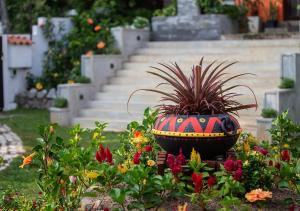 a flower garden with a pot with a plant in it at Breeze of Paradise in Colombo