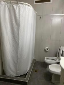 a bathroom with a shower curtain and a toilet at Casa Balcarce Mendoza in Guaymallen