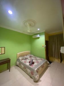 Qaseh Aida Guesthouse في Kampong Tanah Merah: غرفة نوم بسرير مع جدران خضراء وسقف