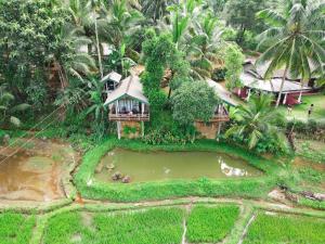 Taman di luar Rainforest Nest