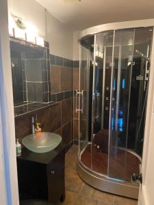 een badkamer met een douche en een wastafel bij Cozy comfortable PRIVATE BEDROOMS in Atlanta
