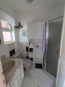 a bathroom with a shower and a toilet and a sink at Apartments Bionda - seafront in Zaboric