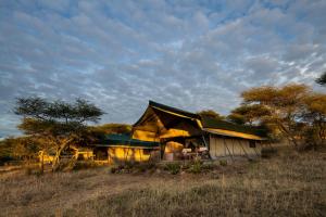 una casa en medio de un campo en Serengeti Woodlands Camp, en Serengeti
