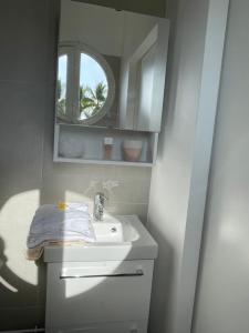 a bathroom with a sink and a mirror at La Croisette appartement vue mer à 1mn de la plage + parking in Filaos