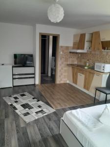 Köök või kööginurk majutusasutuses Apartamente Ambrus E Studio 21 Praid