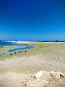 um grupo de pessoas na água em uma praia em Casa sol y mar em Vera