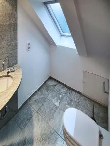 a bathroom with a toilet and a sink and a skylight at LOFT-Panoramablick-HAFEN & ELBE! in Hamburg