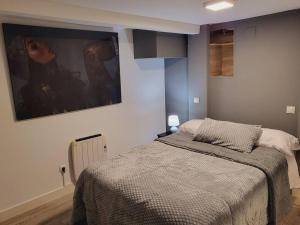 a bedroom with a bed and a painting on the wall at Precioso apartamento de 2 habitaciones. in Madrid