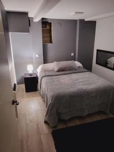 a bedroom with a bed and a tv in it at Precioso apartamento de 2 habitaciones. in Madrid