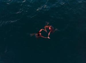 Ospiti di Secret Swell