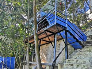 a blue staircase up to a tree at Orkid Chalet in Cameron Highlands