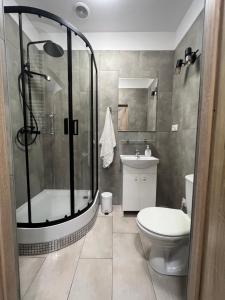 y baño con ducha, aseo y lavamanos. en Apartament rodzinny 40m2, en Pabianice