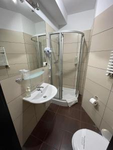 Kúpeľňa v ubytovaní Villa Stary Kalisz