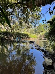 een schommel hangend aan een boom over een rivier bij Byrahalli Bliss riverside camping in Sakleshpur