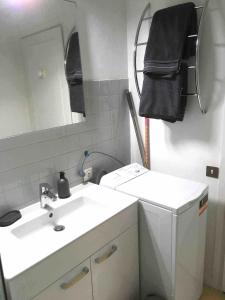 La salle de bains est pourvue d'un lavabo blanc et d'un miroir. dans l'établissement Studio LEON, à Chambéry