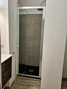 トリノにあるIncantevole appartamento a Torino!のバスルーム(ガラスドア付きのシャワー付)