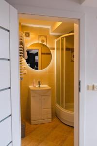 een badkamer met een wastafel en een spiegel bij Apartament nad Czarnym Potokiem in Krynica Zdrój