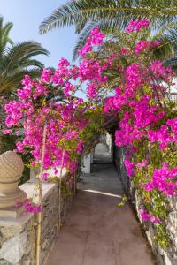 Um jardim em Dorion Hotel