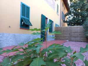 a house with a plant in front of a building at Residenze La Madonnina in Vigatto