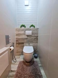ein Bad mit einem weißen WC in einem Zimmer in der Unterkunft Apartament, sectorul Buiucani in Chişinău