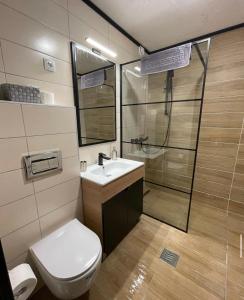 La salle de bains est pourvue de toilettes, d'un lavabo et d'une douche. dans l'établissement Suncana Planina Glory-Kop, à Kopaonik