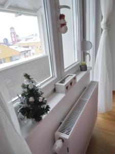 a room with a radiator and a christmas tree on a window at Studio apartman Promenada in Sarajevo