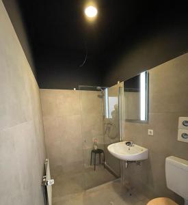 uma casa de banho com um lavatório e um chuveiro em Get-your-flat - Tiny Flat in Gründerzeithaus, super sweet, Kreuzviertel - 50 m2 EG Haustier auf Anfrage em Dortmund