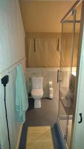a small bathroom with a toilet and a glass door at Camping Yn'e Lijte in Grou