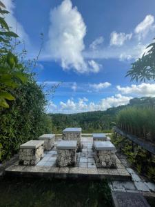 珀尼達島的住宿－Kepaon Gari Inn，一组长椅坐在一个享有美景的庭院里