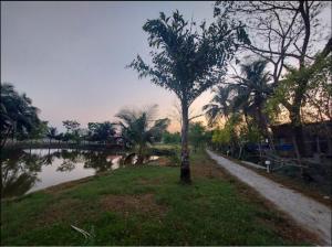 a tree in the grass next to a river at Banani Resort By WB Inn in Gosāba