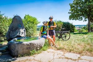 Jazda na bicykli v okolí ubytovania Familiengasthof Schaller