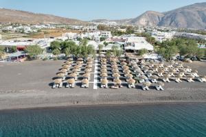 a group of animals sitting on a beach near the water at Terra Nera Suites in Perivolos
