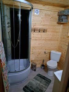 uma casa de banho com uma banheira, um WC e um chuveiro em Domki Na Wzgórzu - domek nr 2 em Mrągowo