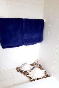 two blue towels on the wall of a bathroom at Izinyoni Place, Mangrove Beach Estate in Port Shepstone +24 photos