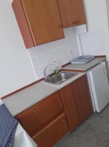 a small kitchen with a sink and a dishwasher at Emmanouela Studios in Sitia