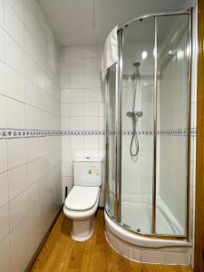 ein Bad mit einem WC und einer Dusche in der Unterkunft AZ El Balcón de Luna in Saragossa